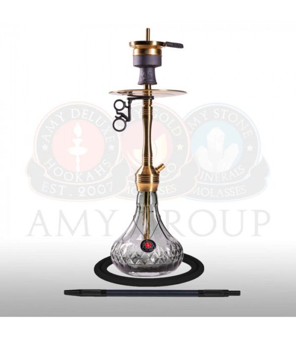 Amy Deluxe SS29 02